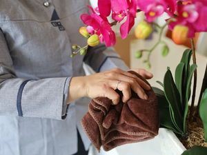 惠州清洁保洁实用指南：环保清洁剂选择要点